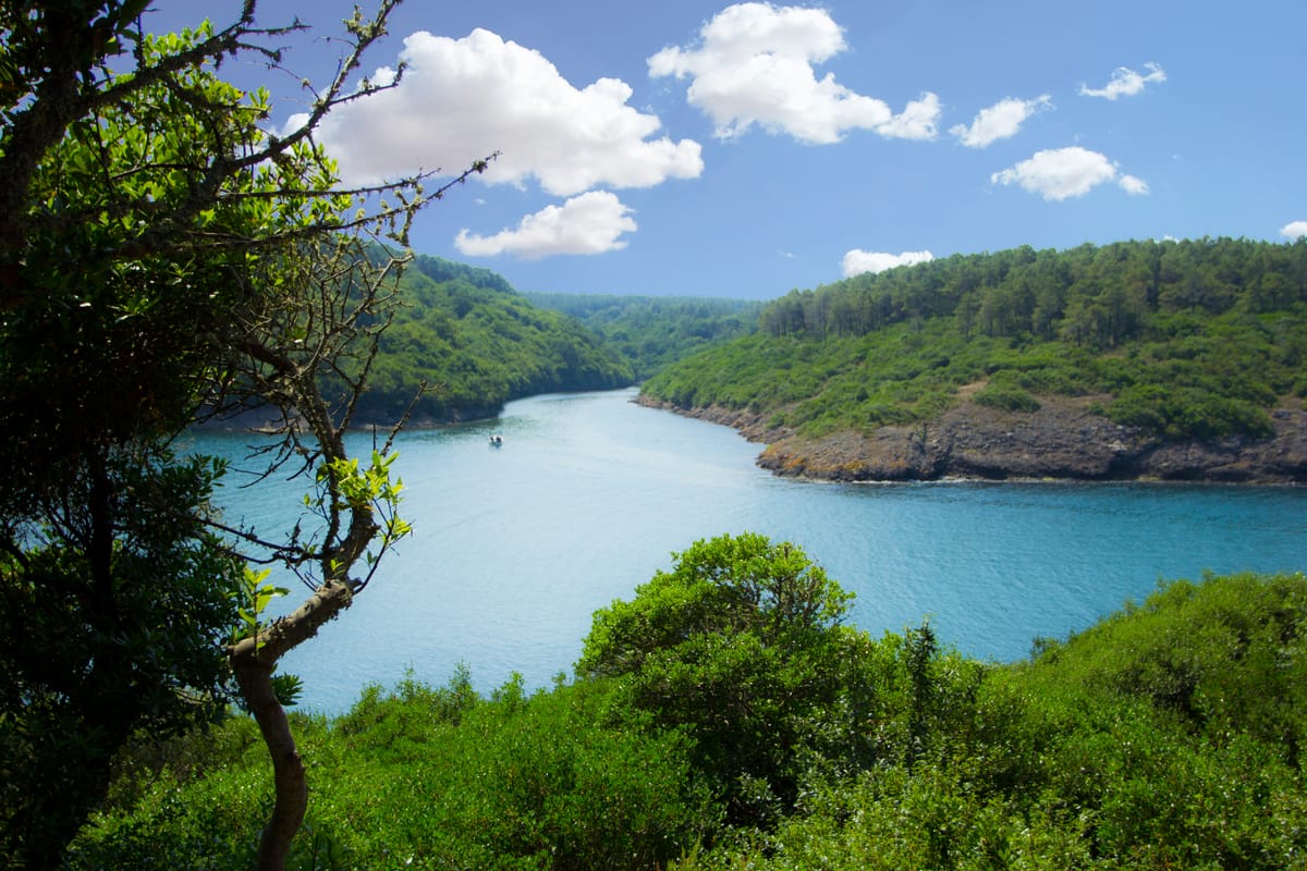 Hamsilos Tabiat Parkı - Sinop