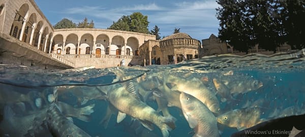 Balıklıgöl - Şanlıurfa