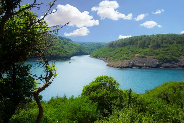 Hamsilos Tabiat Parkı - Sinop